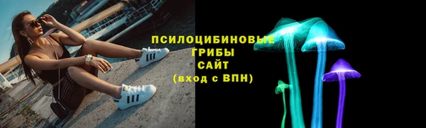 таблы Богданович