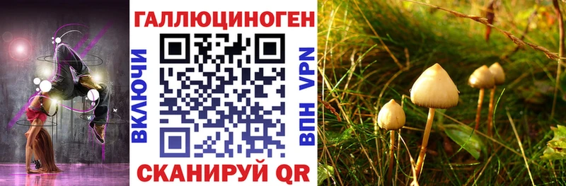 Псилоцибиновые грибы мухоморы  Шатура 